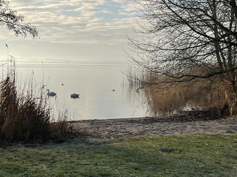 Houseboot Cormorant, Lake View Hotel Biddinghuizen Bagian luar foto